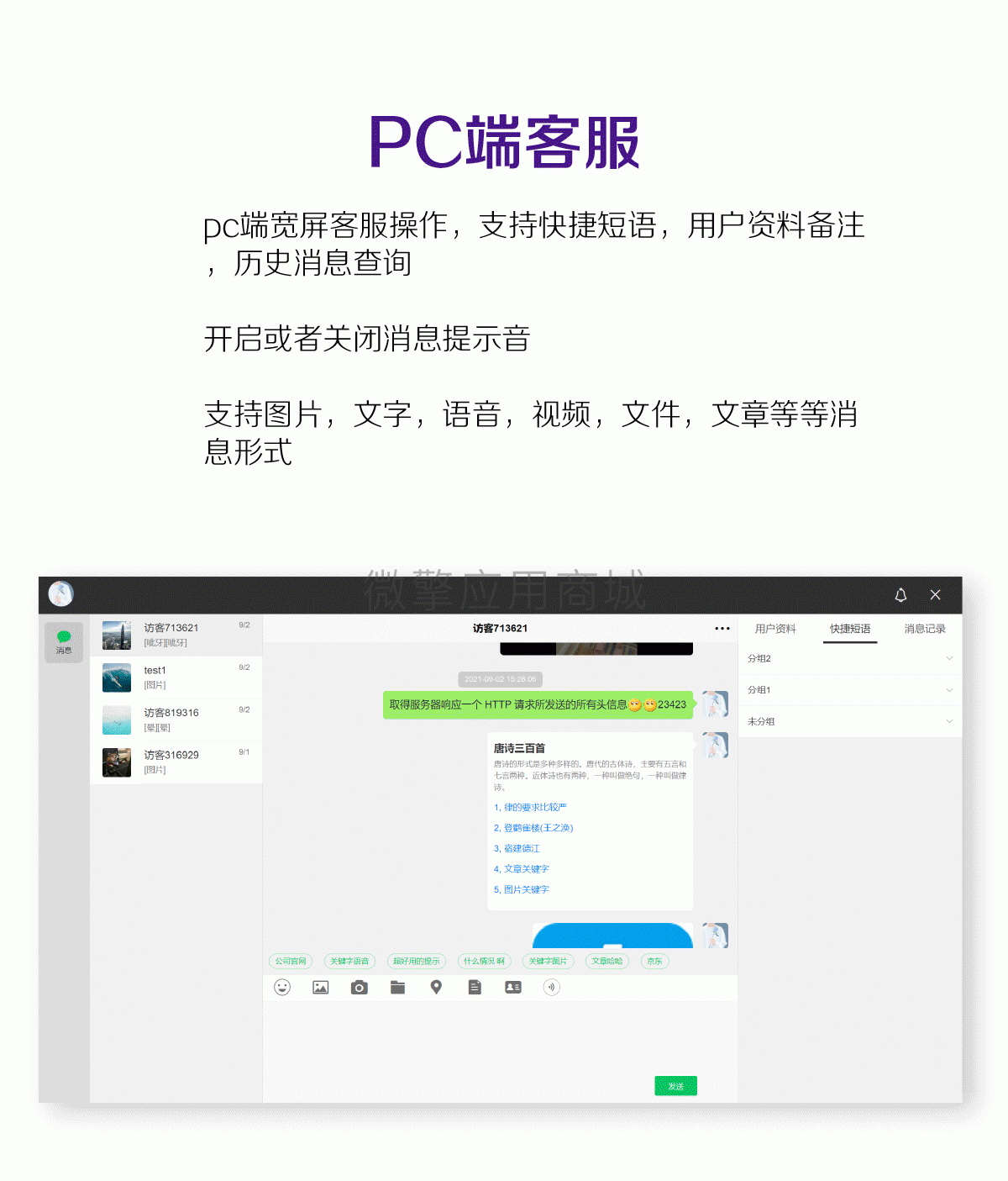 明灯多客服系统_05.gif