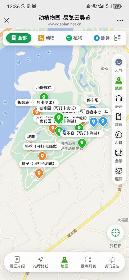 6.jpg