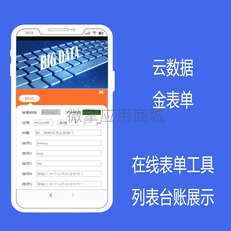 云数据表单小程序制作，云数据表单系统小程序开发