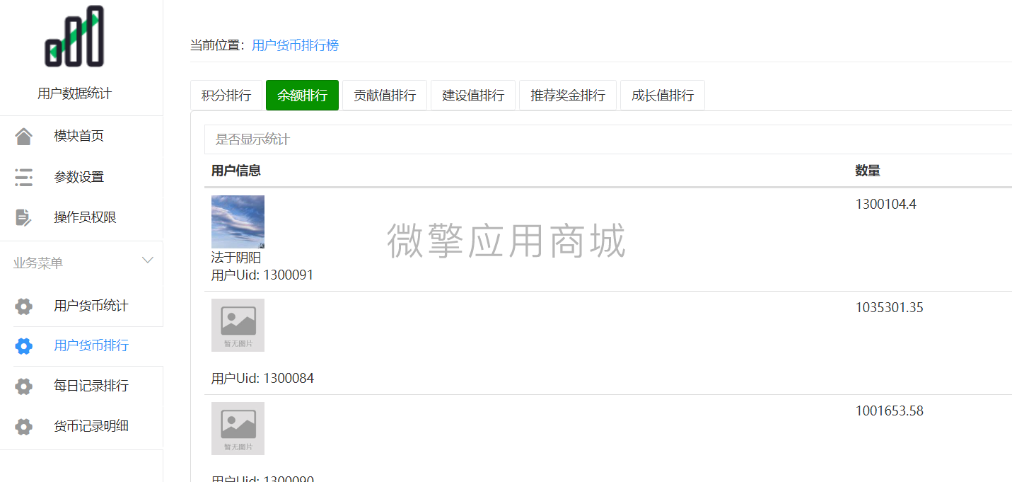 用户资金统计小程序制作，用户资金统计系统小程序开发