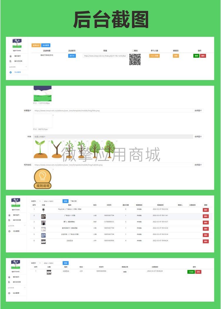 种树_11.jpg