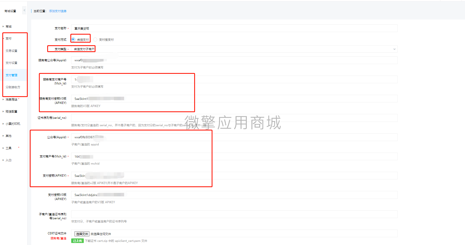 tV13bRqR1hGBc2DMA2HtlH6gdzgwyP9NDrOuyolL.png 支付配置.png